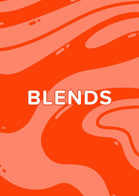 Phonics 1 Blend Cards