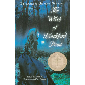 The Witch of Blackbird Pond