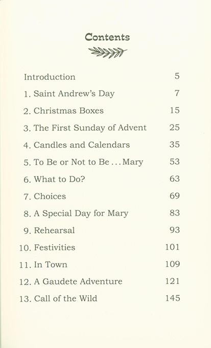 The Adventures of Nick & Sam: The Best Advent Ever