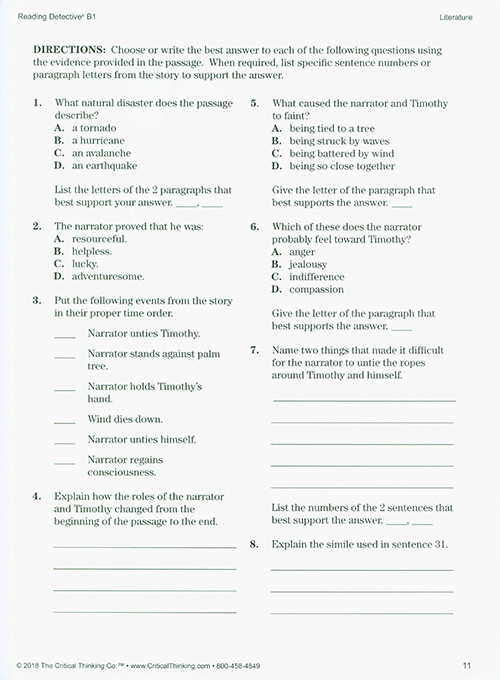 Reading Detective B1 (Grades 7-8)