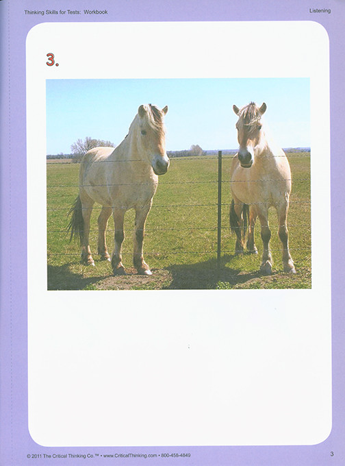 Thinking Skills for Tests Early Learning Workbook (PreK-2)