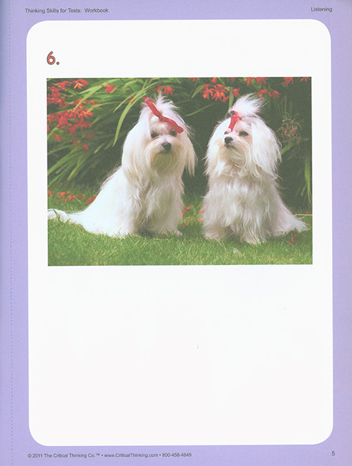 Thinking Skills for Tests Early Learning Workbook (PreK-2)