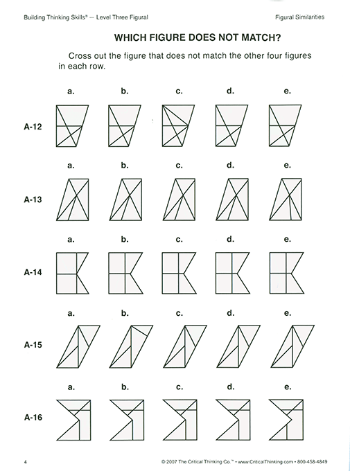 Building Thinking Skills Level 3 Figural (Grades 7-12)