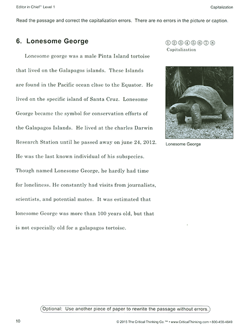 Editor in Chief Level 1 - Grades 4-5