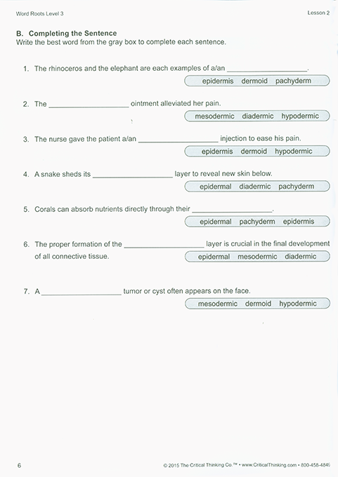 Word Roots Level 3 (Grades 7-12+)