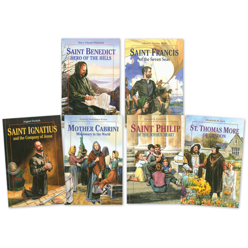 【値下げ】PER SPECTIVE 小学6年生 6冊セット 6th-grade-vision-reader-set.jpg