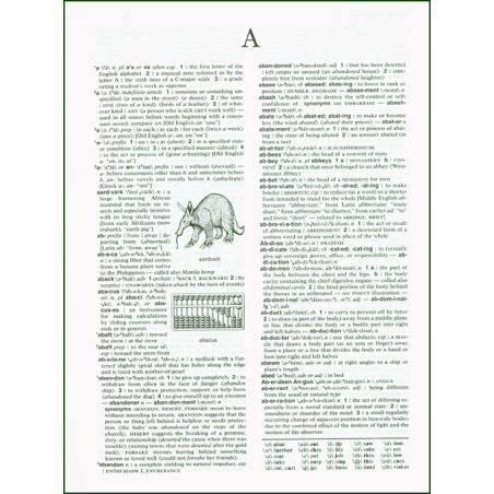 Merriam-Webster's Intermediate Dictionary (Grades 6-8) Merriam-Webster's Intermediate Dictionary (Grades 6-8)