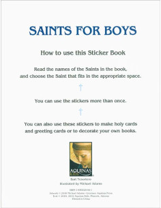 Saints for Boys Sticker Book