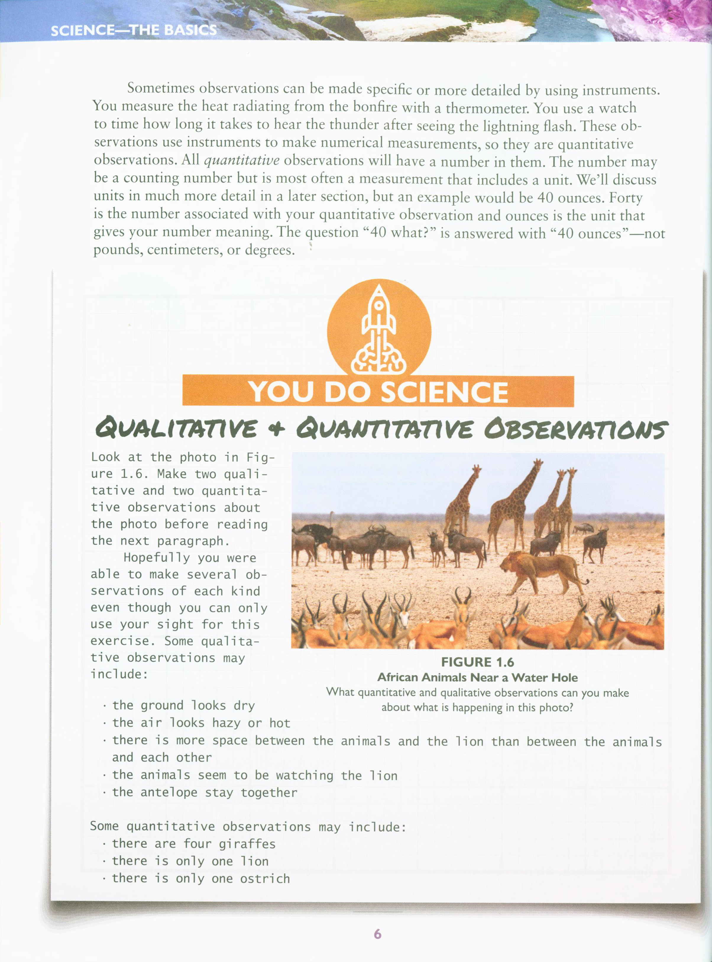 Exploring Creation with Physical Science Text Book (4th Ed.)