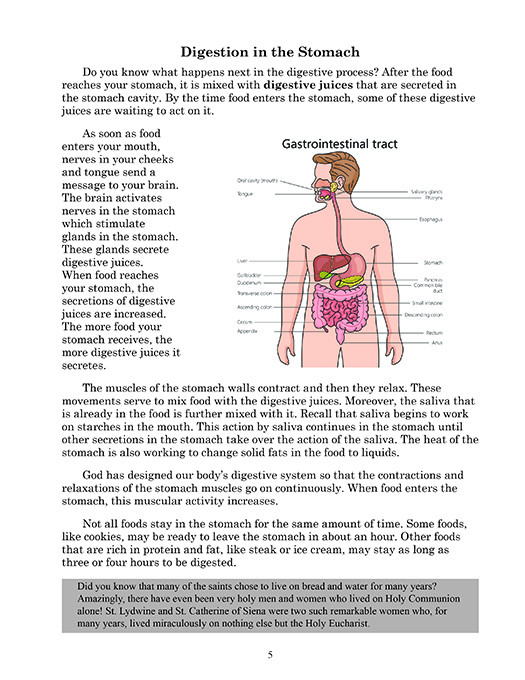 Health 6 for Young Catholics