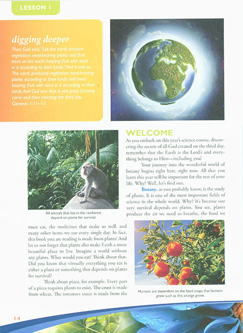 Exploring Creation with Botany