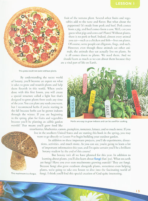 Exploring Creation with Botany