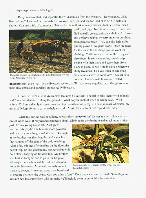 Exploring Creation with Zoology 3: Land Animals