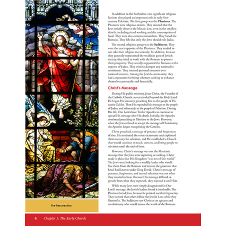 Witness to the Faith - Second Edition