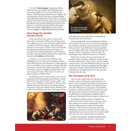 Witness to the Faith - Second Edition