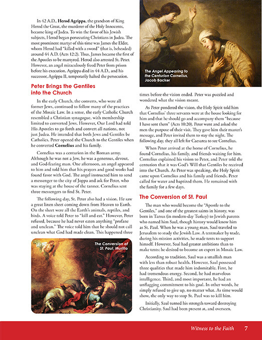 Witness to the Faith - Second Edition