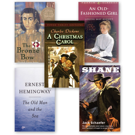 English 9 Additional Book Set
