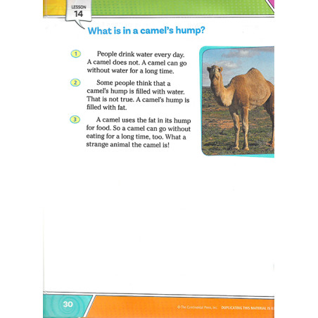 Reading for Comprehension B