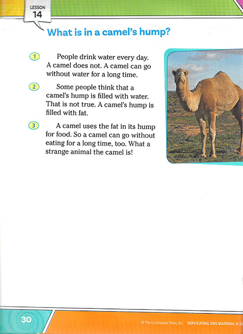 Reading for Comprehension B