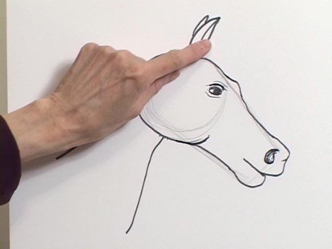 Simply Drawing Vol. 3 Art Classes (Noah's Ark & Animals)