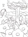 Coloring Book About the Bible Coloring Book About the Bible