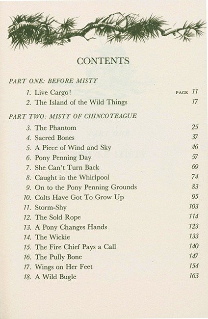 Misty of Chincoteague