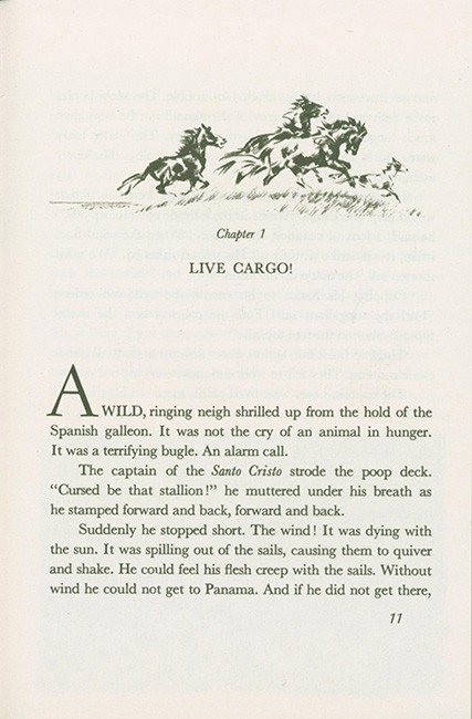 Misty of Chincoteague