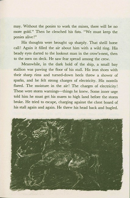 Misty of Chincoteague