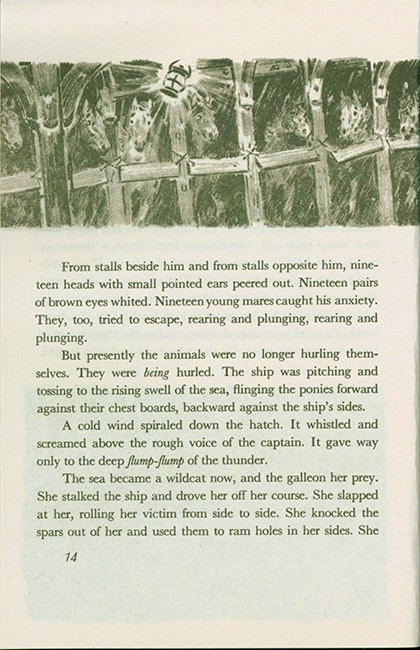 Misty of Chincoteague