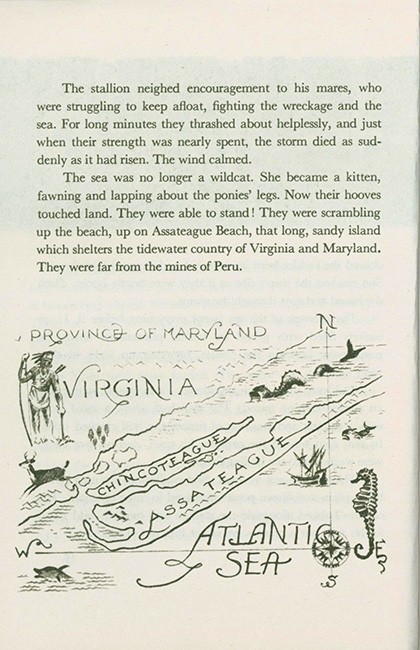 Misty of Chincoteague