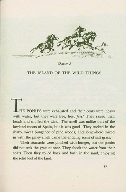 Misty of Chincoteague