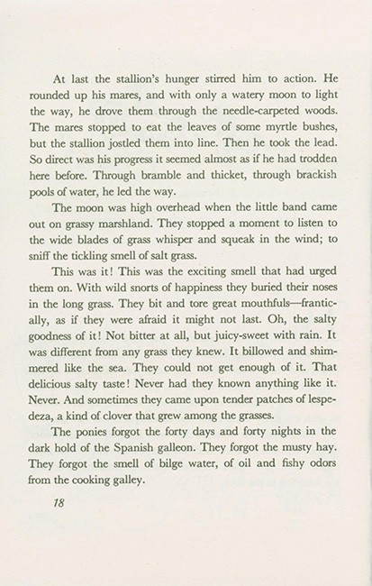 Misty of Chincoteague