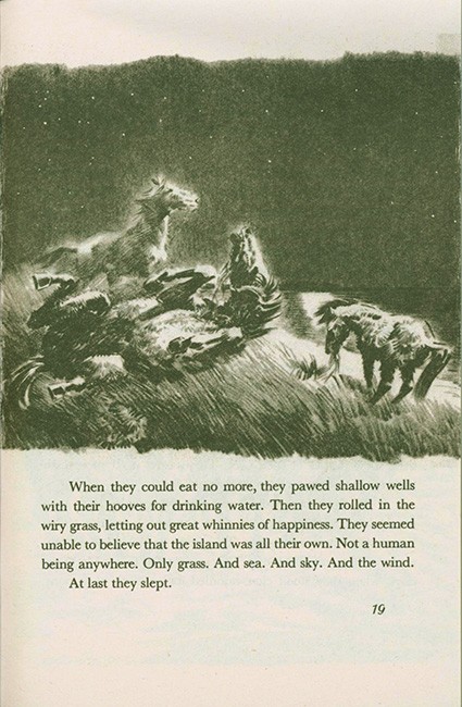 Misty of Chincoteague