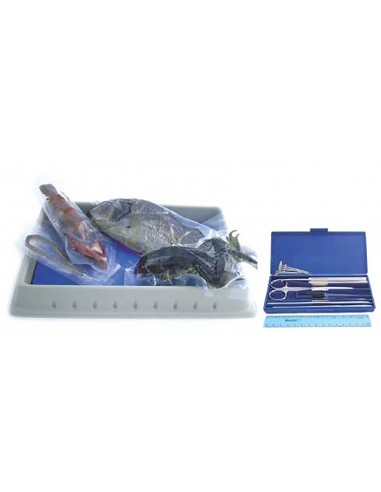 Biology Dissection Lab Kit (with specimens)