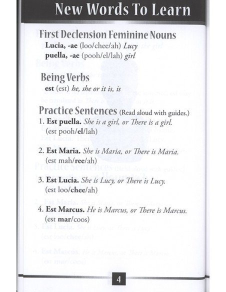 Little Latin Readers: Primer A - Reader