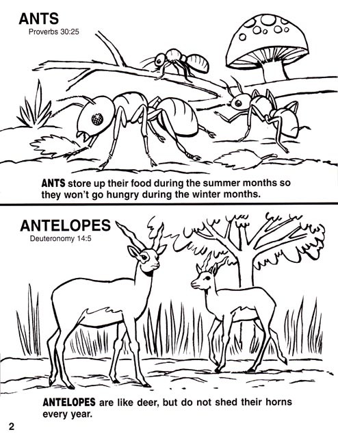 Animals of the Bible Coloring Book
