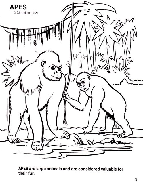 Animals of the Bible Coloring Book