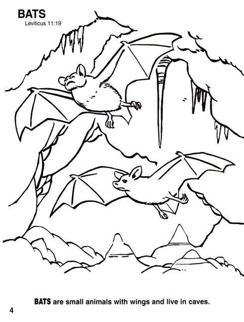 Animals of the Bible Coloring Book