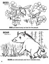 Animals of the Bible Coloring Book Animals of the Bible Coloring Book