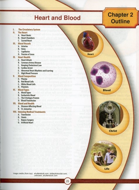 Science 5 for Young Catholics