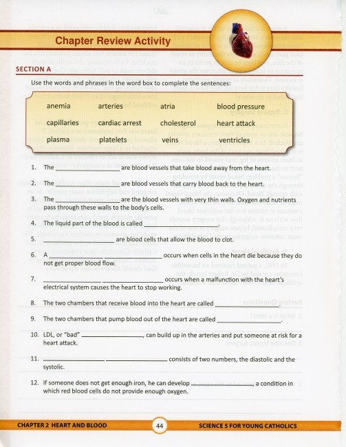 Science 5 for Young Catholics