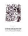 Ship's Boy with Magellan