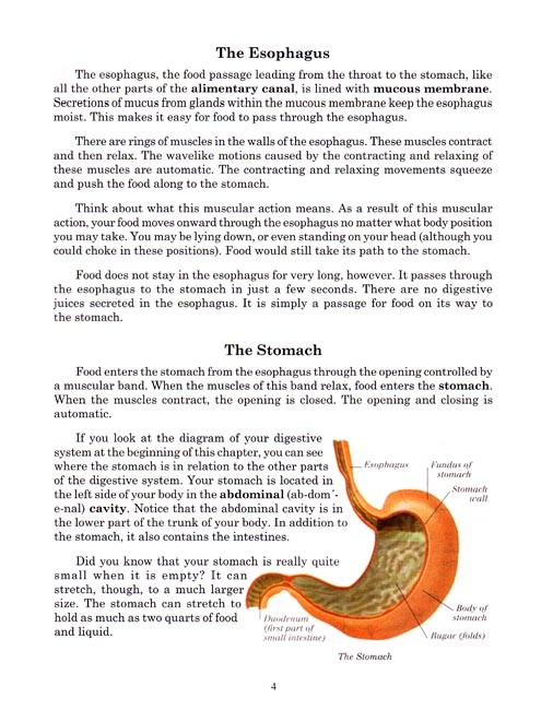Health 6 for Young Catholics
