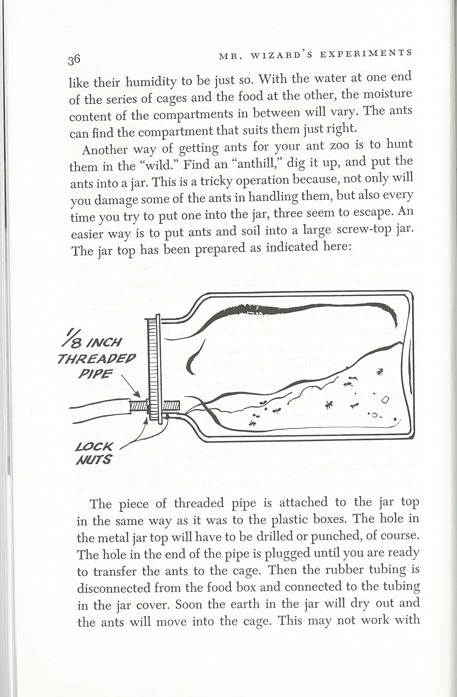 Mr. Wizard's Experiments for Young Scientist