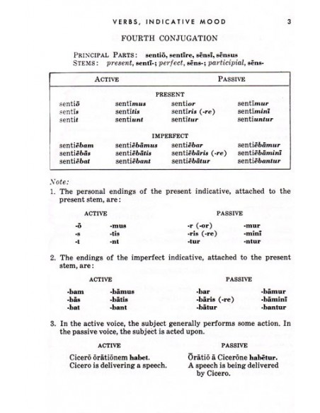 Review Text in Latin 3 & 4 Years