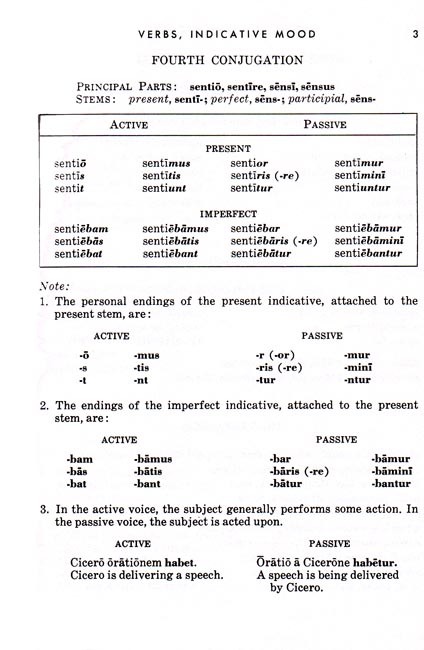 Review Text in Latin 3 & 4 Years