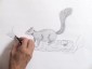 Animal Drawing Art Classes DVD