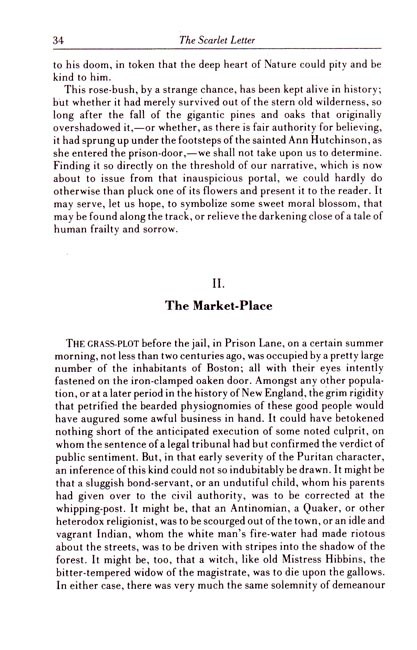 The Scarlet Letter with Study Guide