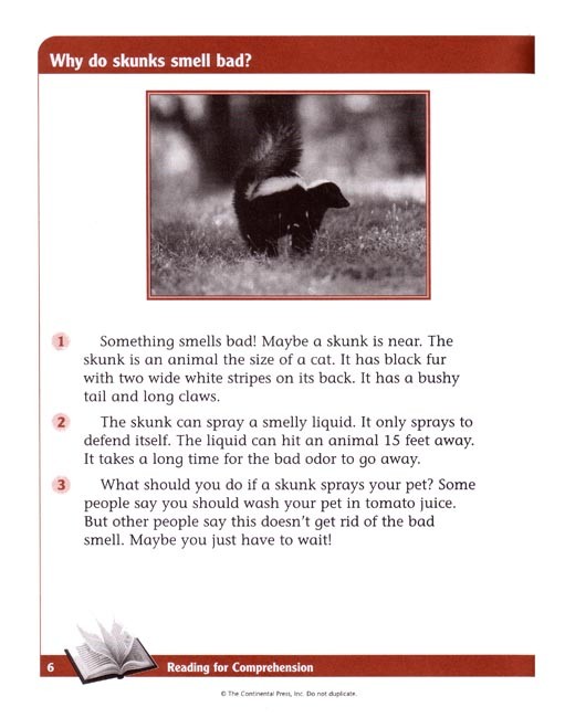 Reading for Comprehension B