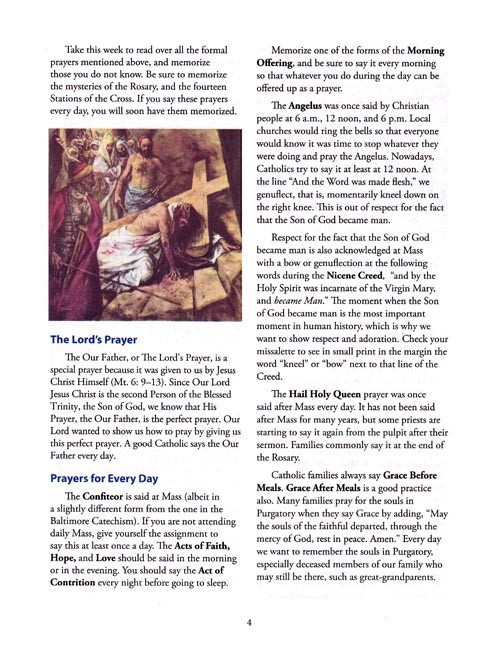 Religion 7 for Young Catholics (key in book)